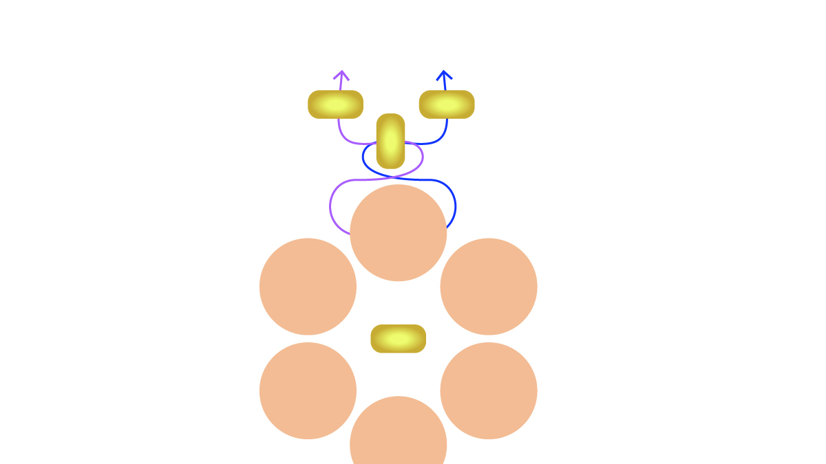 Bracciale con gemme e fiori di trottola Preciosa : Tappa 6