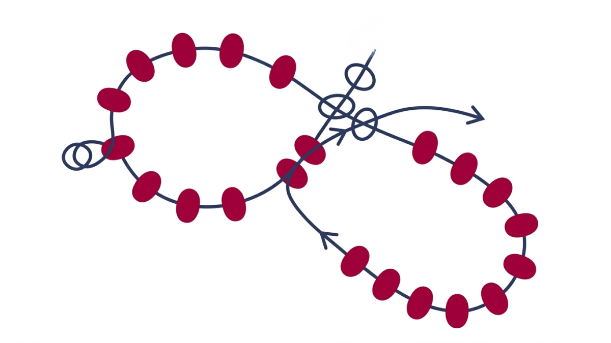 Collana di perline Miyuki 6/0 con intreccio di fiori : Tappa 5 Collana di perline Miyuki 6/0 con intreccio di fiori : Tappa 5