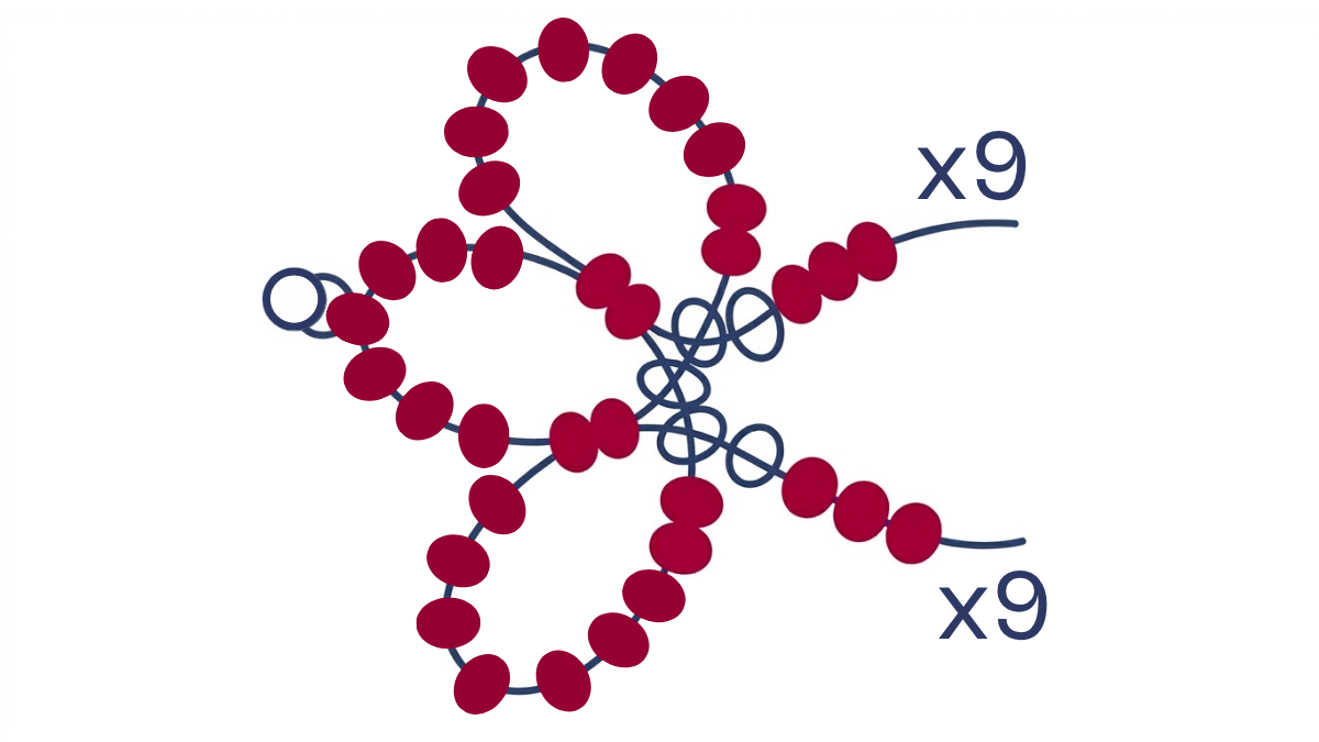 Collana di perline Miyuki 6/0 con intreccio di fiori : Tappa 6 Collana di perline Miyuki 6/0 con intreccio di fiori : Tappa 6