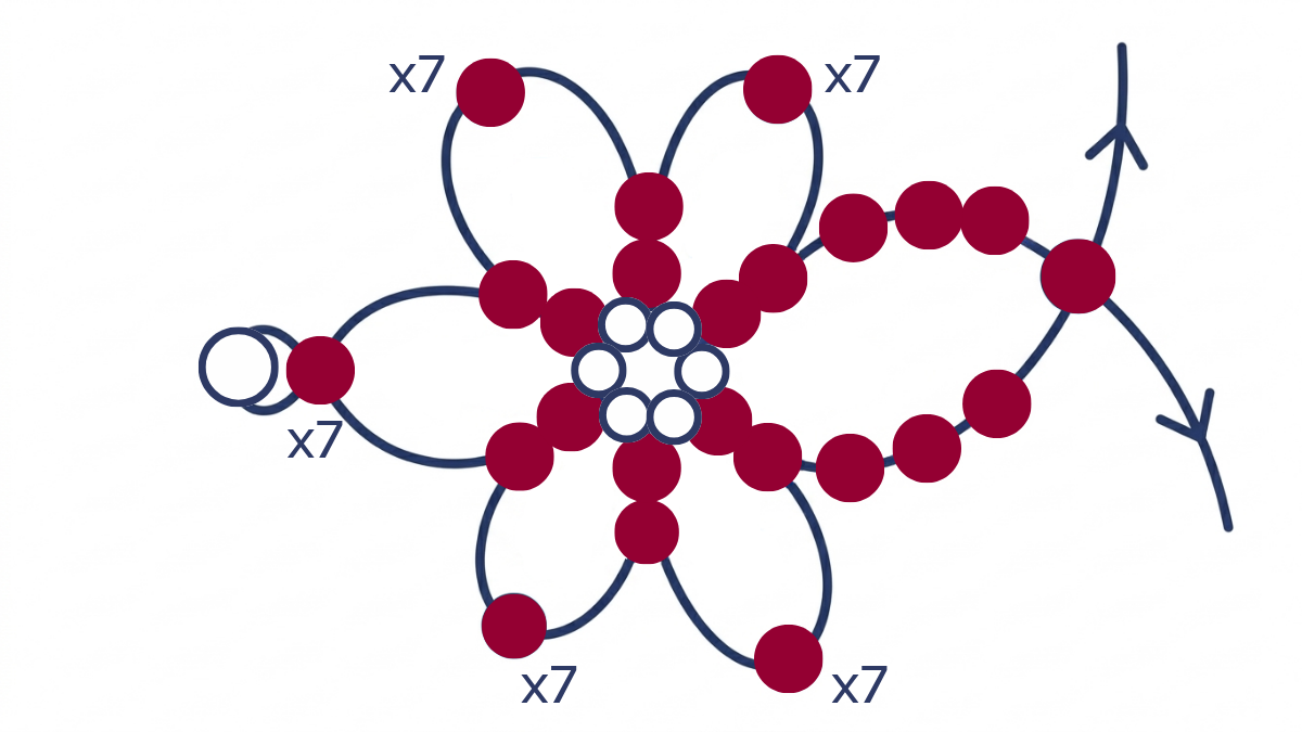 Collana di perline Miyuki 6/0 con intreccio di fiori : Tappa 9 Collana di perline Miyuki 6/0 con intreccio di fiori : Tappa 9