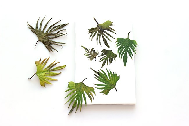 Segnalibro Brusho su Fimo : Tappa 1 Segnalibro Brusho su Fimo : Tappa 1