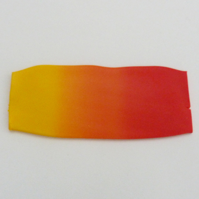 Tucano in pasta polimerica Fimo : Tappa 4