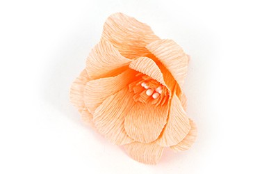 Corona di fiori in carta crespa ed edera sintetica : Tappa 7 Corona di fiori in carta crespa ed edera sintetica : Tappa 7